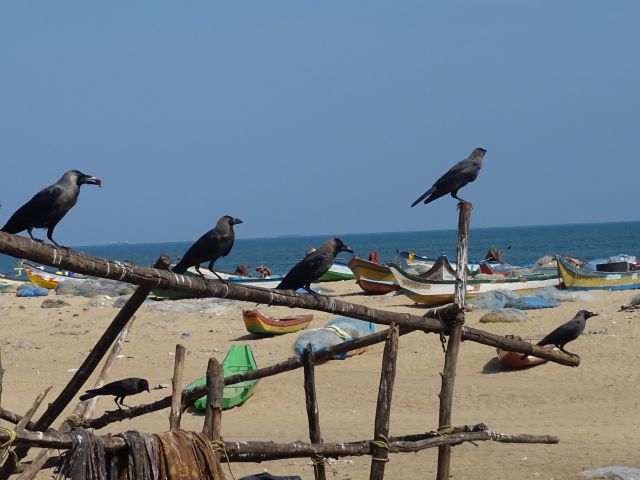 Chennai